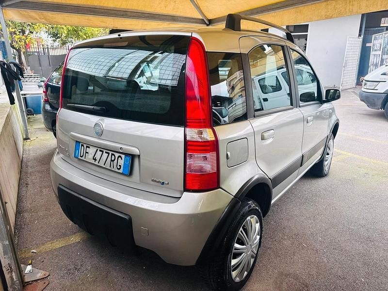 Usata Fiat Panda 4x4 Climbing 69 CV (50 kW) 2007 Grigio Utilitaria
