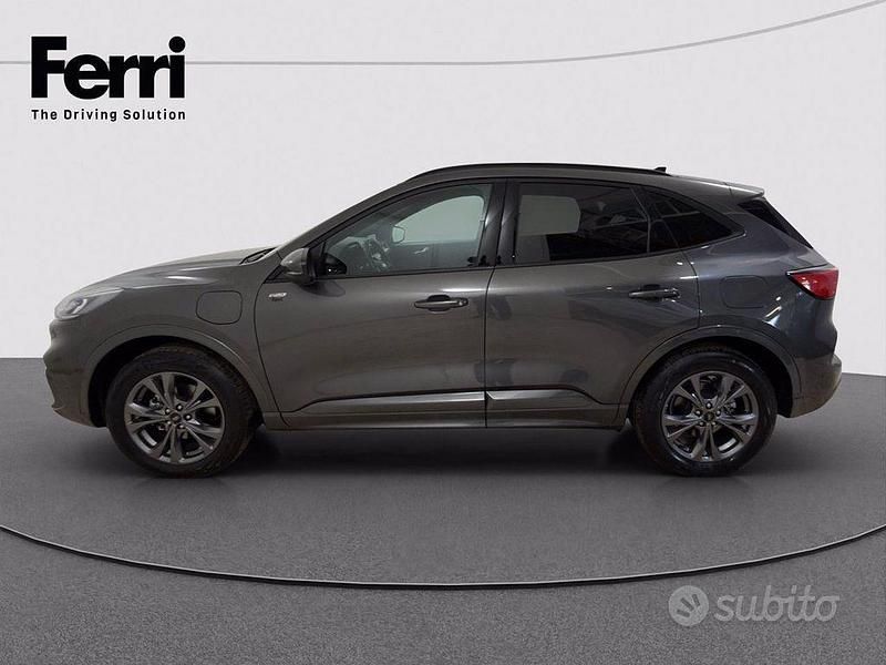 Usata Ford Kuga ST-Line 225 CV (165 kW) 2023 Magnetic grey SUV