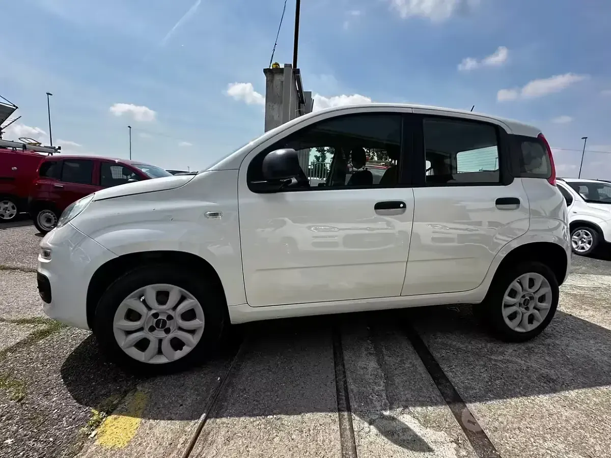 Usata Fiat Panda Lounge 70 CV (51 kW) 2020 Bianco Utilitaria