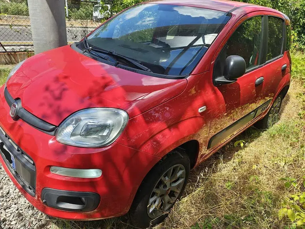 Usata Fiat Panda 4x4 S 80 CV (58 kW) 2017 Rosso Utilitaria