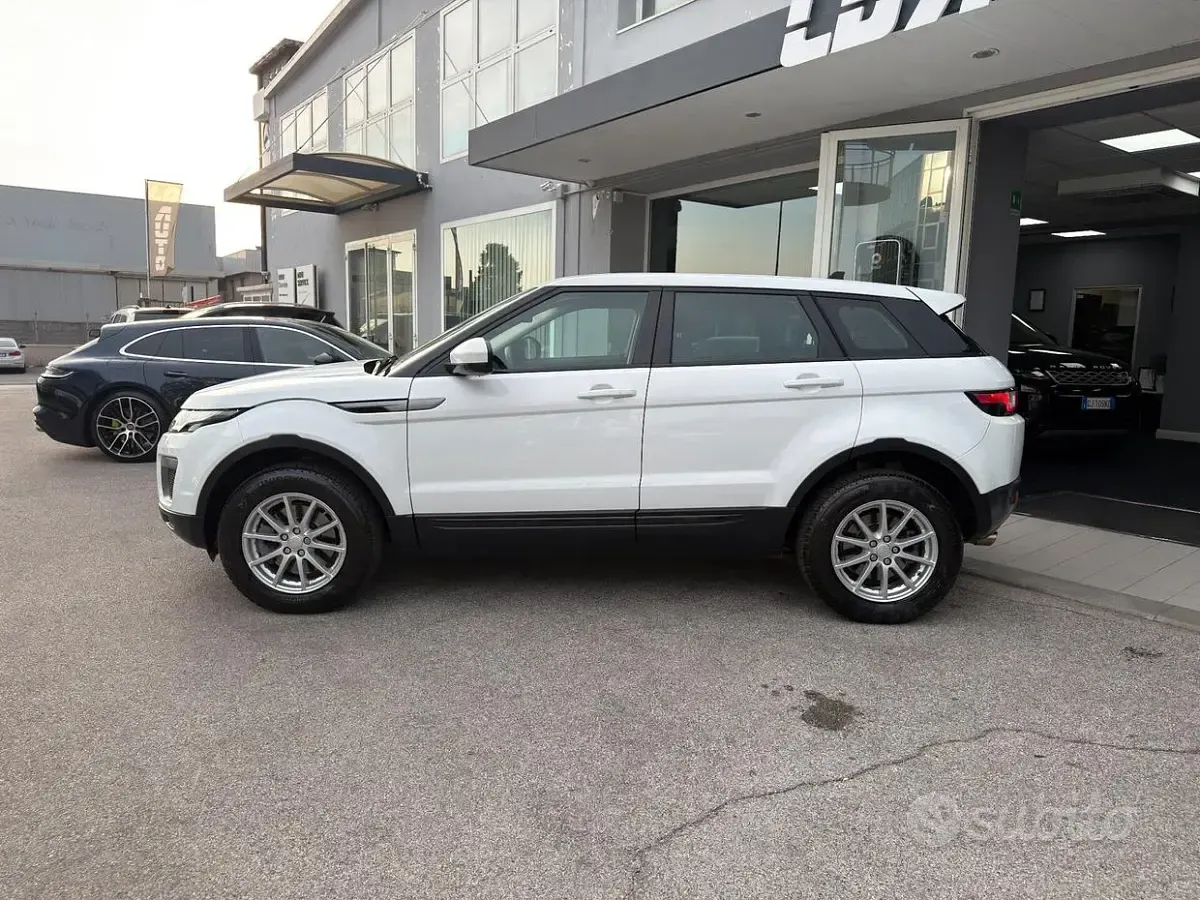 Usata Land Rover Range Rover evoque SE 150 CV (110 kW) 2016 Bianco SUV