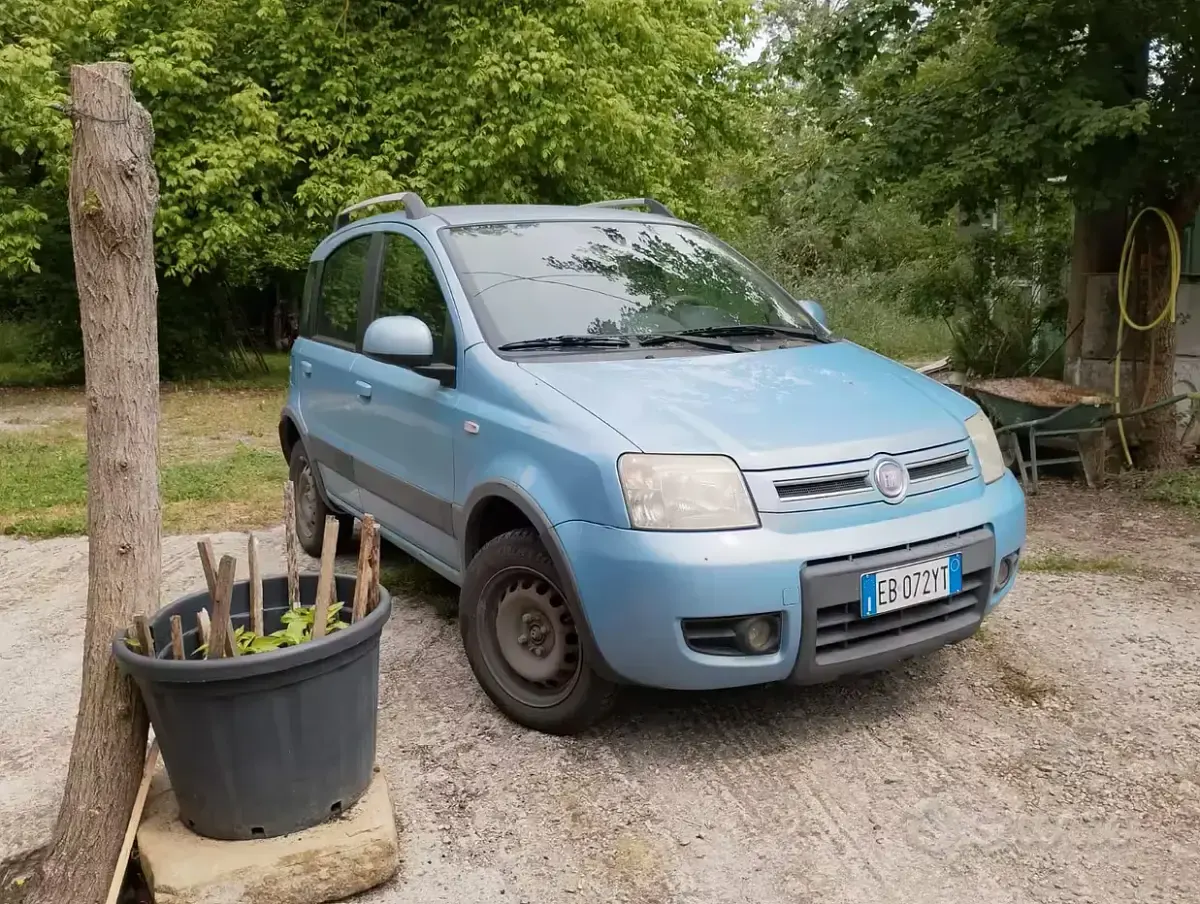 Usata Fiat Panda 60 CV (44 kW) 2010 Utilitaria