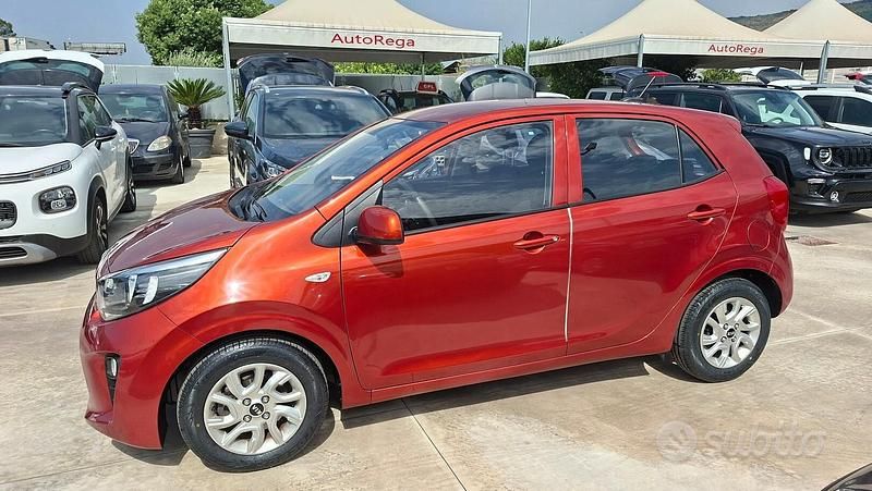 Usata Kia Picanto X-Line 67 CV (49 kW) 2023 Arancione Utilitaria