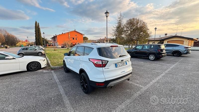 Usata Ford Kuga Business Edition 120 CV (88 kW) 2019 Bianco SUV