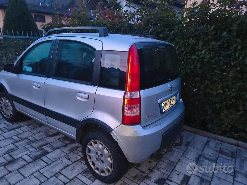 Usata Fiat Panda 4x4 60 CV (44 kW) 2009 Grigio Utilitaria