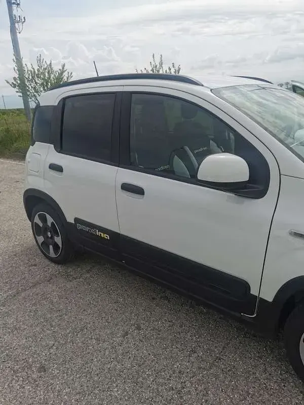 Usata Fiat Panda S 69 CV (50 kW) 2024 Utilitaria