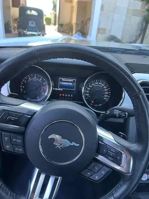 Usata Ford Mustang Fastback 314 CV (230 kW) 2018 Coupé