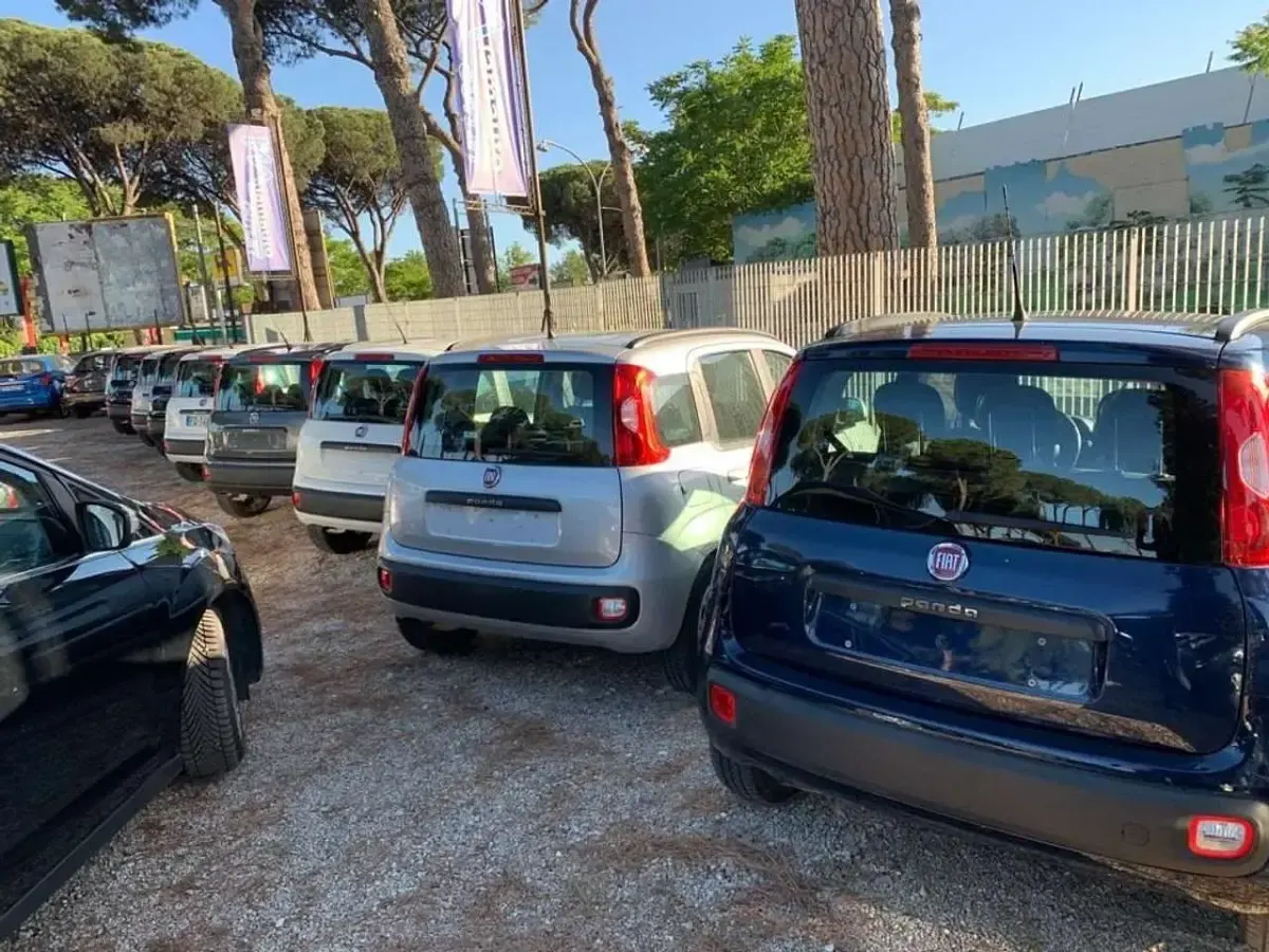Usata Fiat Panda Trekking 85 CV (62 kW) 2014 Arancione Utilitaria