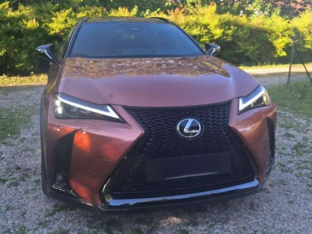 Usata Lexus UX 300h 152 CV (111 kW) 2024 Bronzo SUV