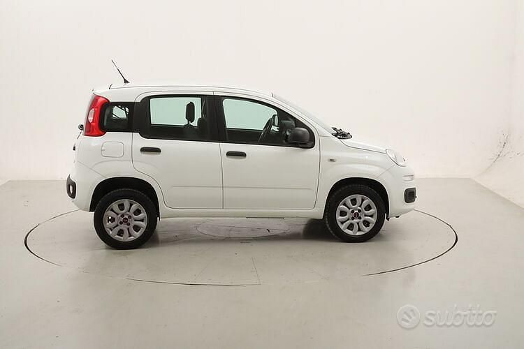 Usata Fiat Panda Easy 70 CV (51 kW) 2018 Bianco Utilitaria