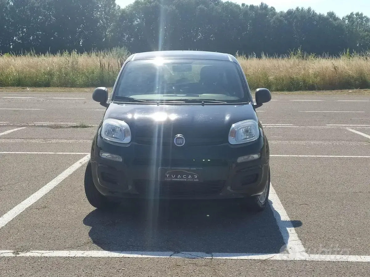 Usata Fiat Panda Easy 69 CV (50 kW) 2020 Nero Utilitaria