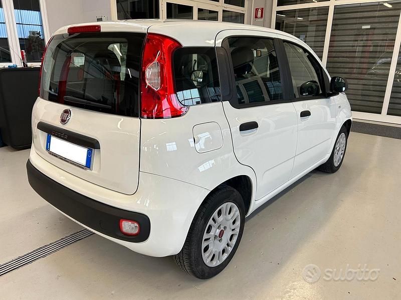 Usata Fiat Panda Easy 69 CV (50 kW) 2020 Bianco Utilitaria