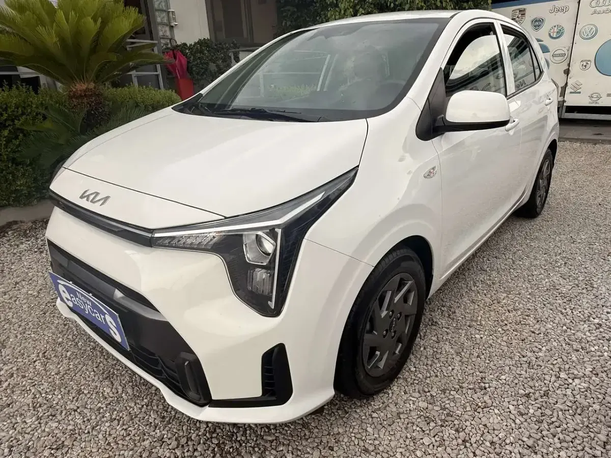 Usata Kia Picanto Launch Edition 63 CV (46 kW) 2025 Bianco Utilitaria