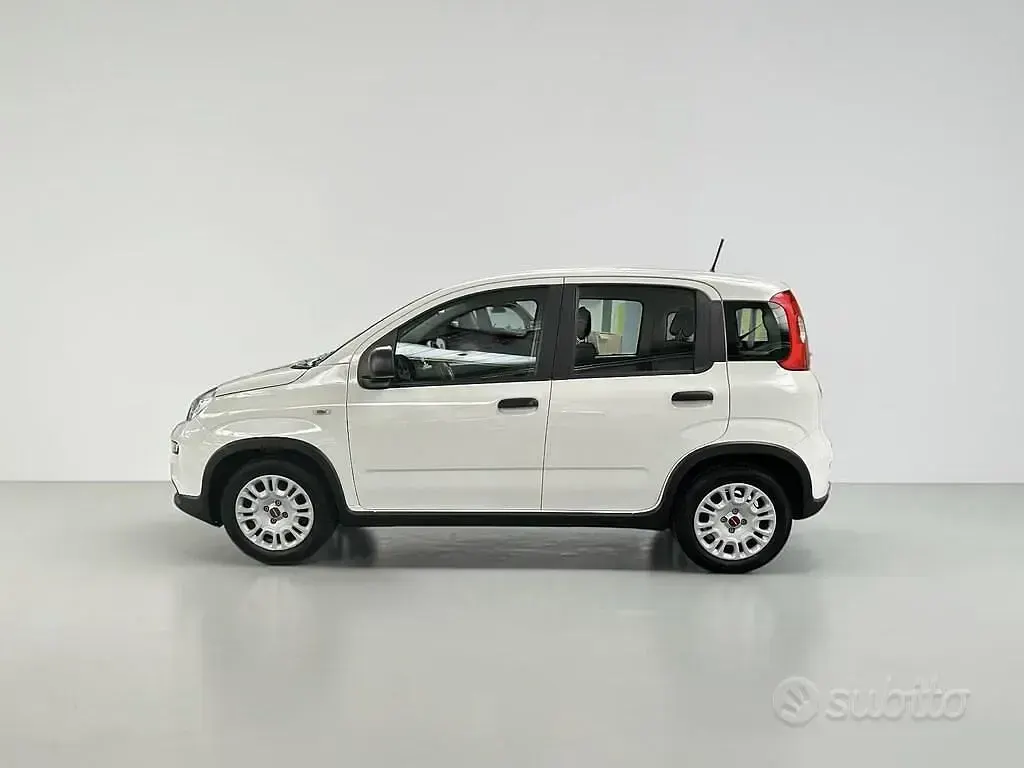 Usata Fiat Panda S 70 CV (51 kW) 2024 Bianco Utilitaria