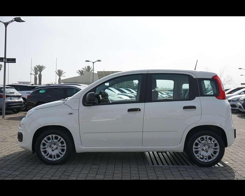 Usata Fiat Panda 2025 Bianco Utilitaria