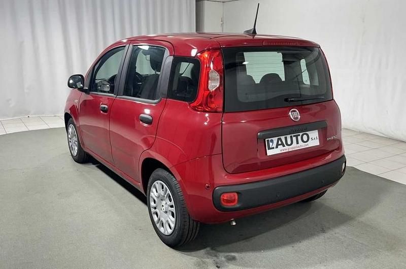 Usata Fiat Panda Easy 69 CV (50 kW) 2020 Grigio Utilitaria