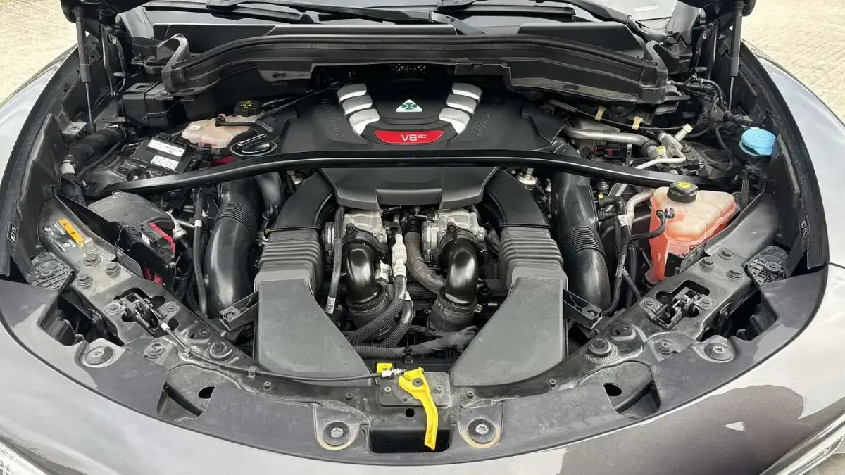 Usata Alfa Romeo Stelvio Quadrifoglio 510 CV (375 kW) 2020 SUV
