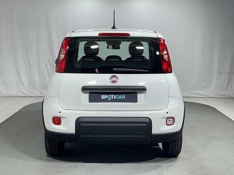 Usata Fiat Panda S 69 CV (50 kW) 2024 Bianco Utilitaria