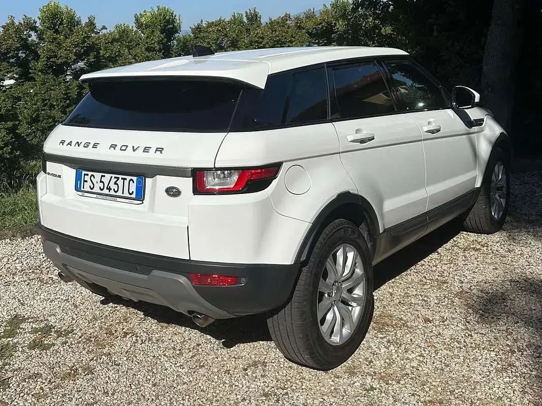 Usata Land Rover Range Rover evoque SE 150 CV (110 kW) 2018 Bianco SUV
