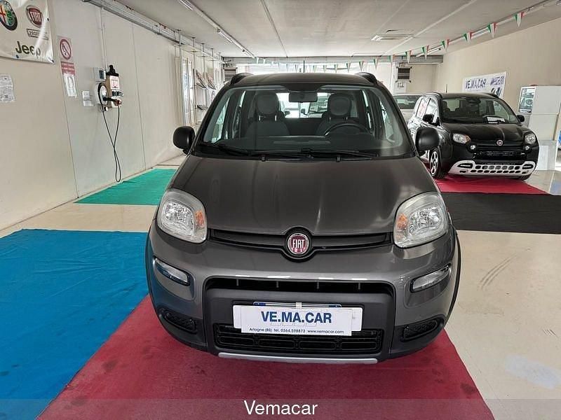 Usata Fiat Panda 4x4 86 CV (63 kW) 2020 Grigio Utilitaria