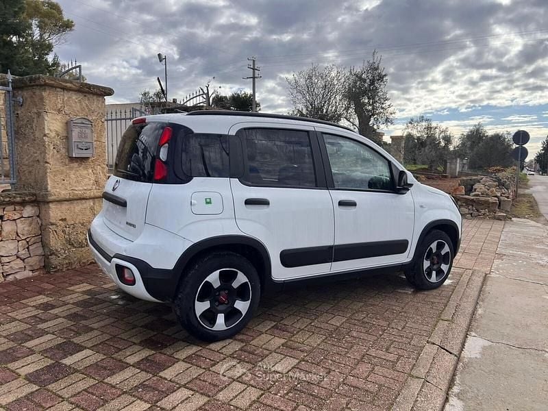 Usata Fiat Panda Cross Cross 71 CV (52 kW) 2024 Bianco Utilitaria