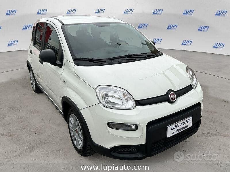 Usata Fiat Panda S 70 CV (51 kW) 2023 Bianco Utilitaria