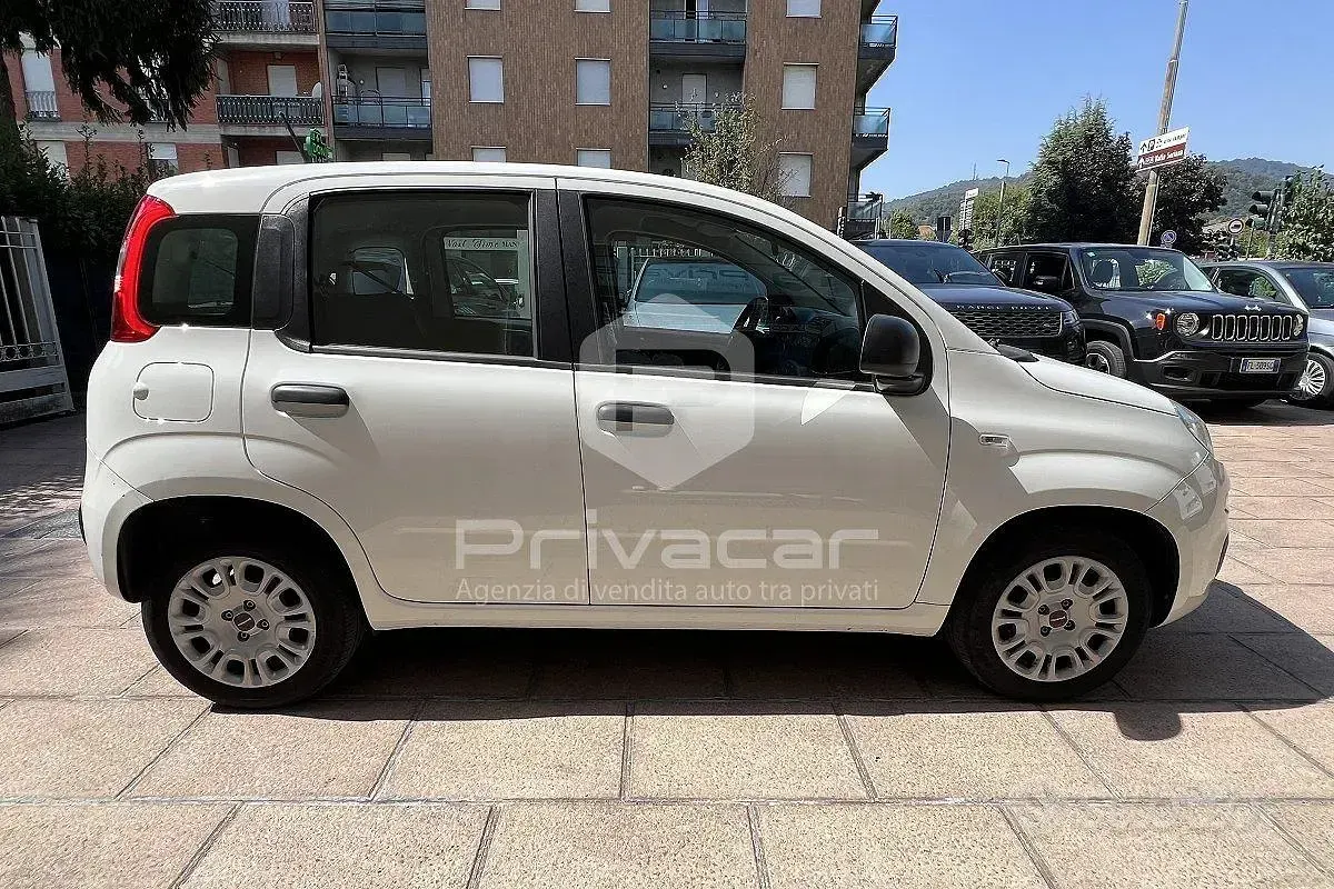 Usata Fiat Panda Easy 69 CV (50 kW) 2020 Bianco Utilitaria
