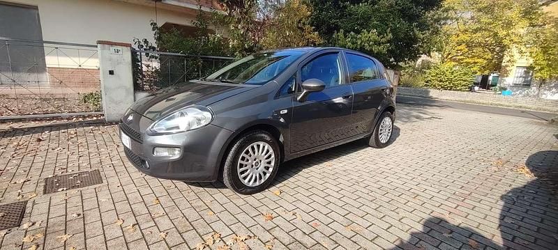 Usata Fiat Punto Lounge 69 CV (50 kW) 2017 Grigio Utilitaria
