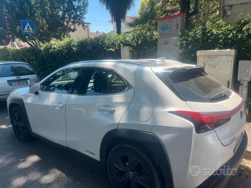 Usata Lexus UX 250h 2020 SUV