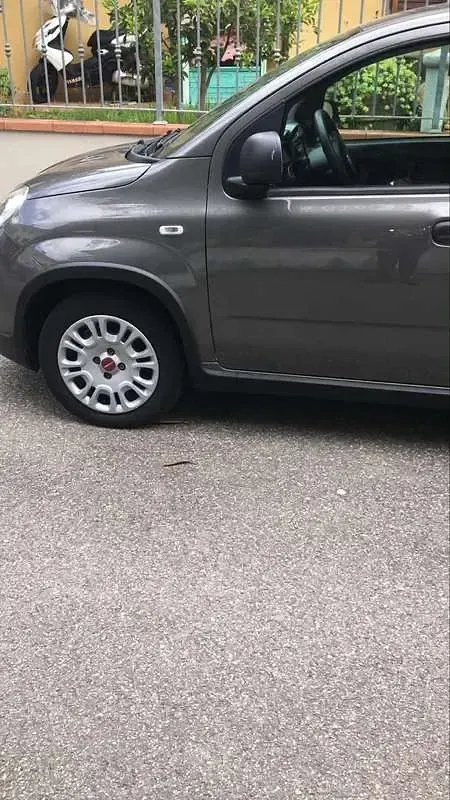 Usata Fiat Panda City Life 69 CV (50 kW) 2022 Grigio Utilitaria