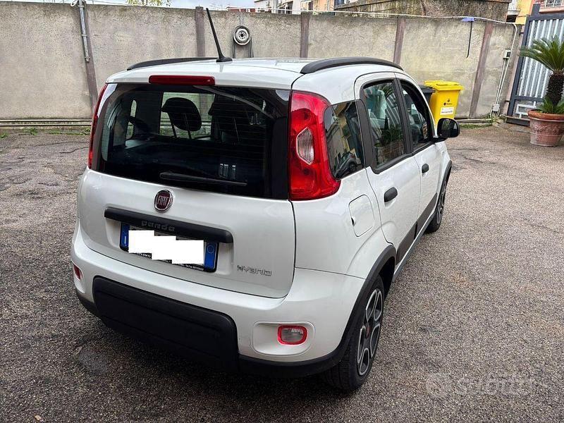Usata Fiat Panda City Life 71 CV (52 kW) 2022 Bianco Utilitaria