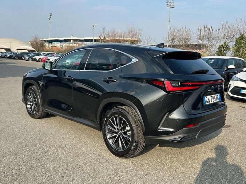 Usata Lexus NX300 243 CV (178 kW) 2023 Other SUV