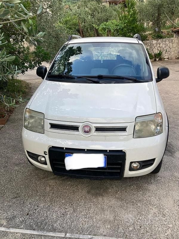 Begagnad Fiat Panda 4x4 69 HK (50 kW) 2011 Vit Halvkombi