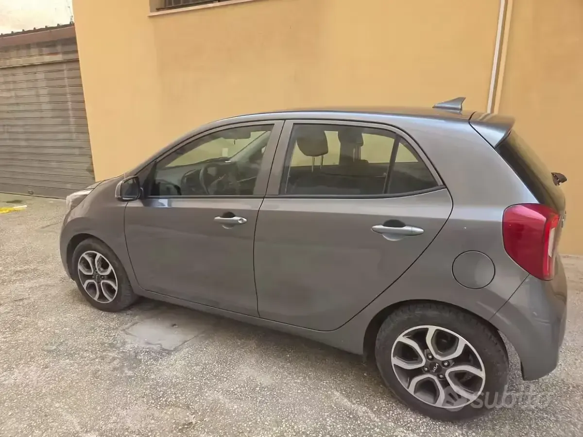 Usata Kia Picanto Style 67 CV (49 kW) 2024 Grigio Utilitaria