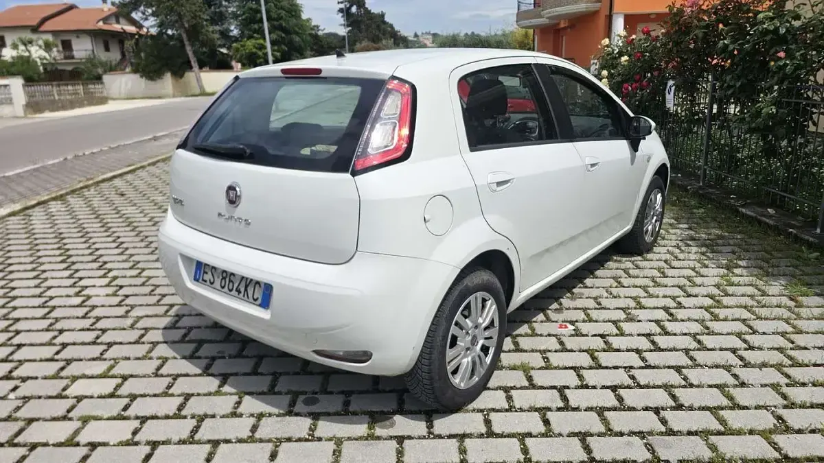 Begagnad Fiat Punto 77 HK (56 kW) 2013 Vit Halvkombi