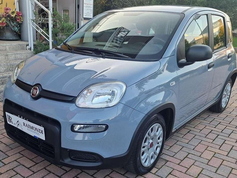 Usata Fiat Panda Easy 69 CV (50 kW) 2022 Grigio Utilitaria
