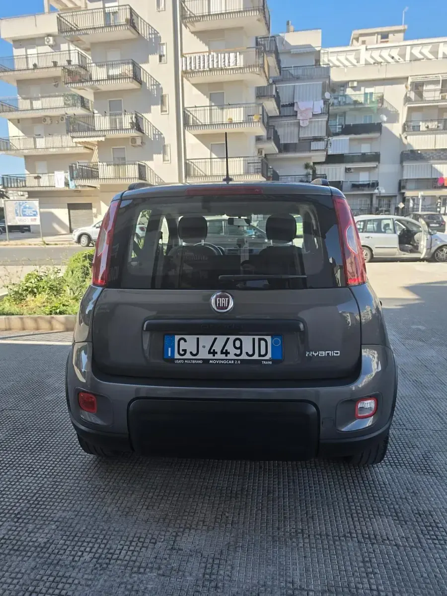 Usata Fiat Panda City Life 70 CV (51 kW) 2022 Grigio Utilitaria