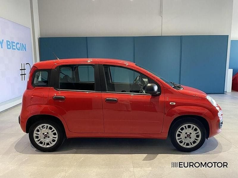 Usata Fiat Panda Easy 69 CV (50 kW) 2019 Bianco Utilitaria