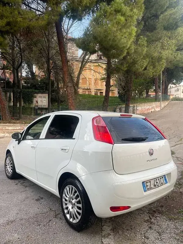 Usata Fiat Grande Punto Dynamic 90 CV (66 kW) 2015 Utilitaria