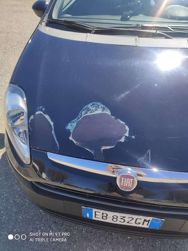 Usata Fiat Punto Evo Active 65 CV (47 kW) 2010 Blu/azzurro Utilitaria