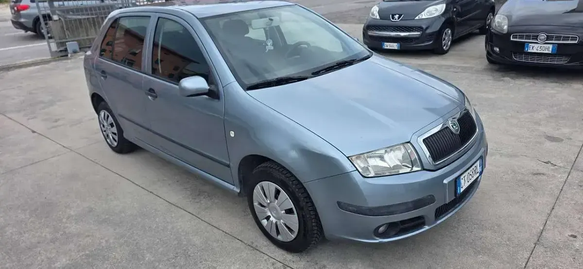 Usata Skoda Fabia Ambiente 64 CV (47 kW) 2005 Grigio Berlina