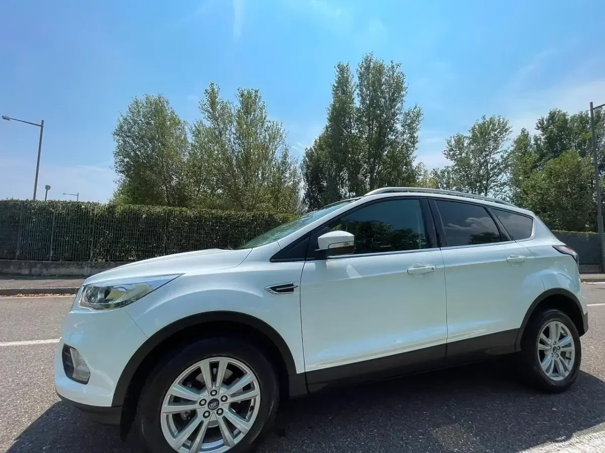 Usata Ford Kuga ST-Line 119 CV (87 kW) 2019 Bianco SUV
