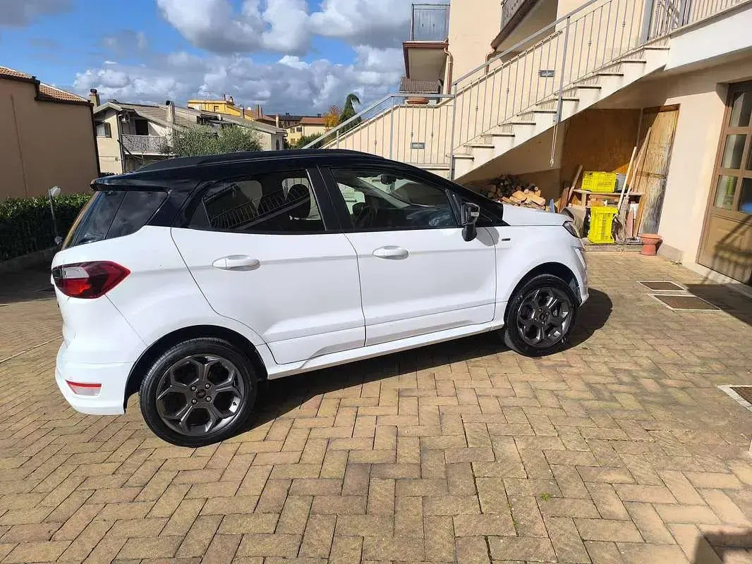 Usata Ford Ecosport ST-Line 99 CV (72 kW) 2018 Bianco SUV