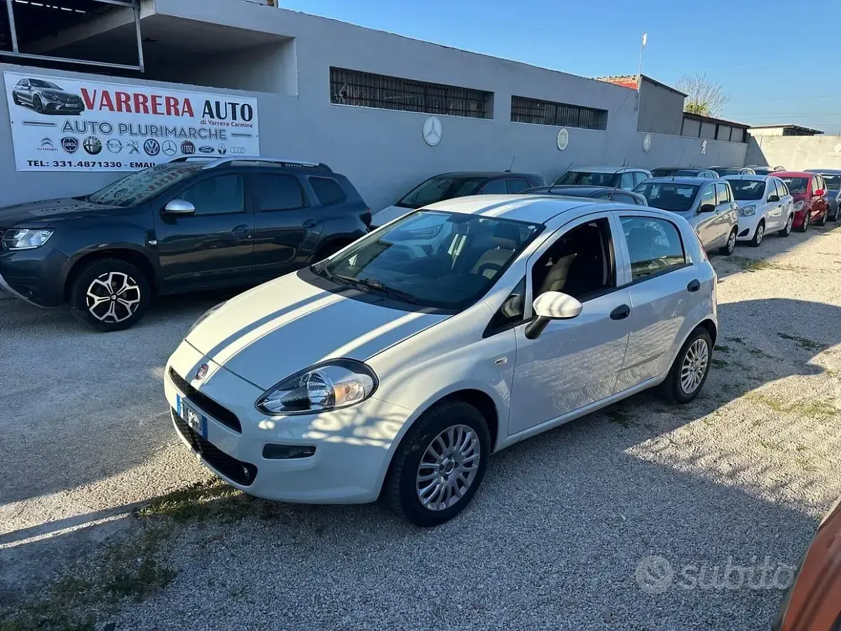 Usata Fiat Punto Lounge 69 CV (50 kW) 2016 Utilitaria