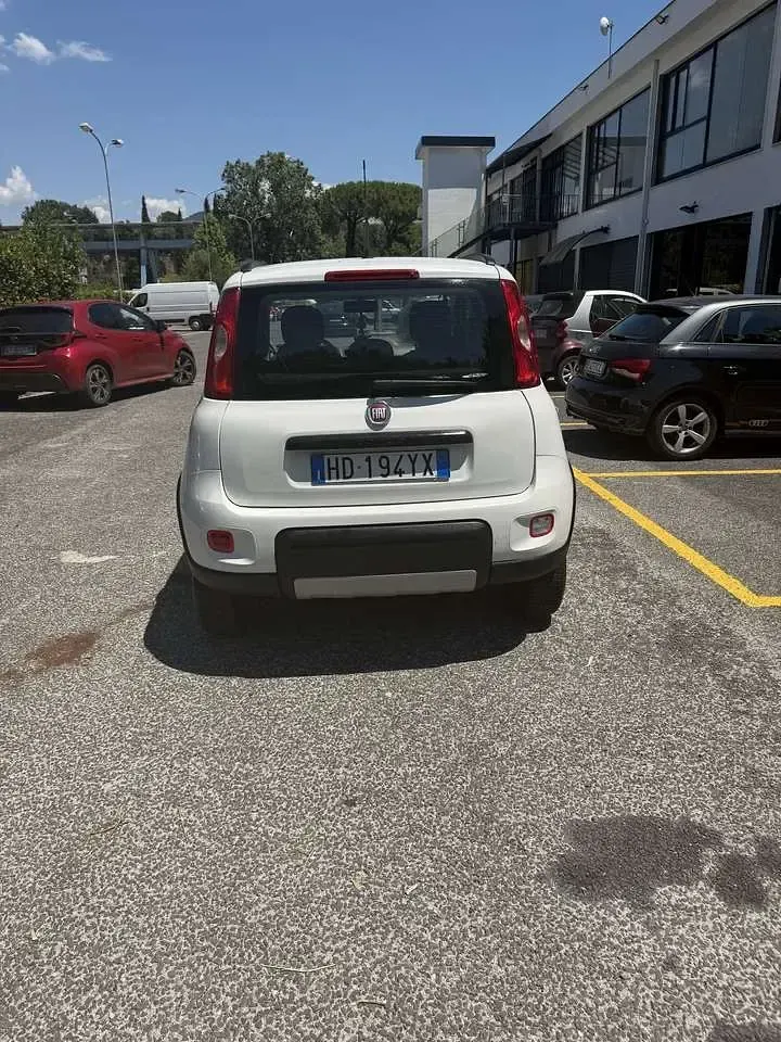 Usata Fiat Panda 4x4 86 CV (63 kW) 2020 Other Utilitaria