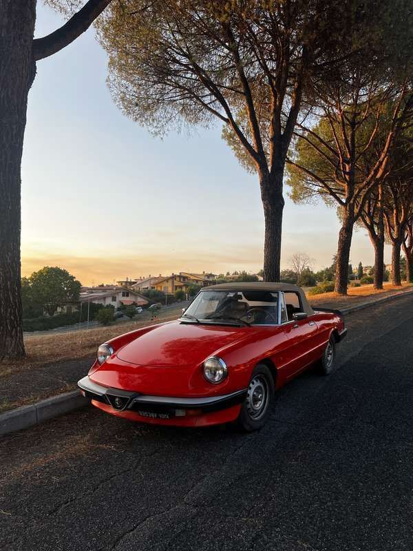 Usata 1984 Alfa Romeo Spider Cabrio | 29.800 € - Immagine 1/4