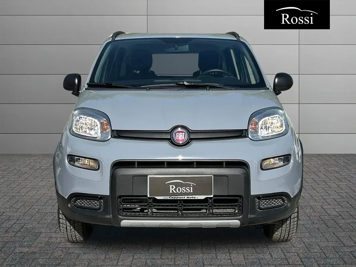 Usata Fiat Panda 4x4 S 86 CV (63 kW) 2019 Grigio Utilitaria