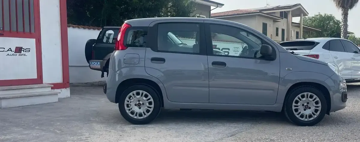 Usata Fiat Panda Easy 69 CV (50 kW) 2020 Grigio Utilitaria