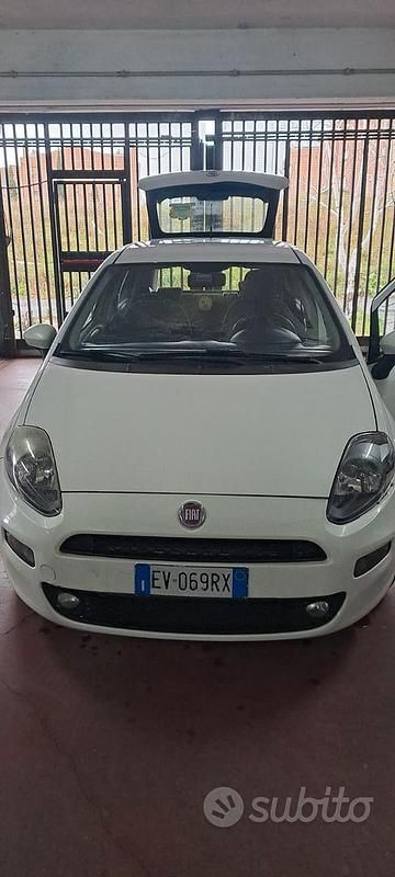 Usata Fiat Punto Evo 2014 Bianco Utilitaria