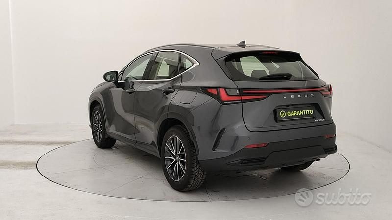 Usata Lexus NX350h Business Edition 244 CV (179 kW) 2022 Grigio SUV